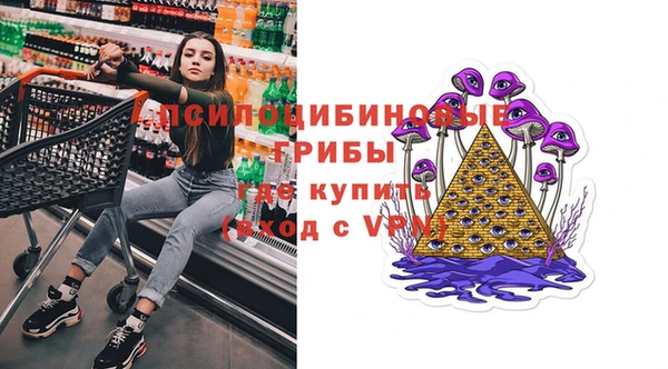 ешки Абаза