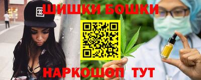 прущие грибы Ставрополь