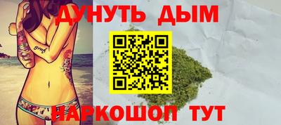 прущие грибы Ставрополь