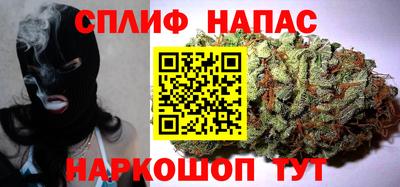 прущие грибы Ставрополь