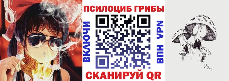 Псилоцибиновые грибы MAGIC MUSHROOMS  купить закладку  Удомля 